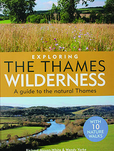 Exploring the Thames Wilderness